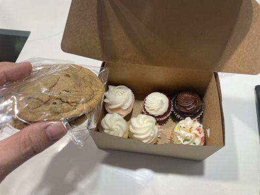 Chocolate chip cookies and assorted mini cupcakes