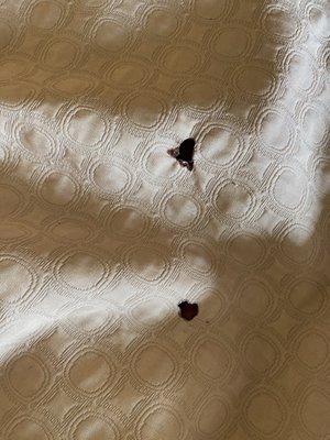 HOLES IN BEDSHEET