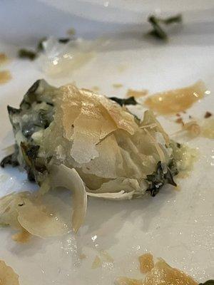 A sad site, my last bite of spanakopita.