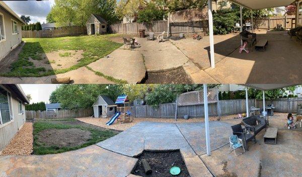 This is our backyard before on top and after on the bottom!