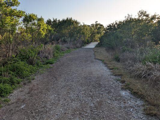 On one of the walking trails of Galt Preserve