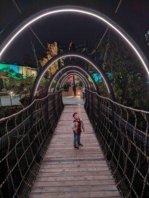 My boy loves this bridge