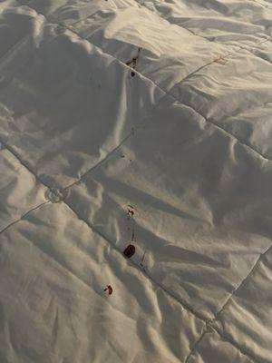 Blood on blanket