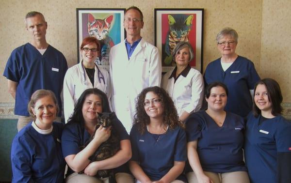 The Chicago Cat Clinic Staff