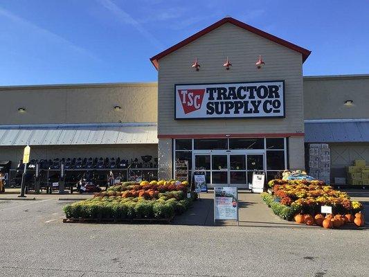 Tractor Supply