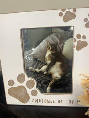 Employee of the month