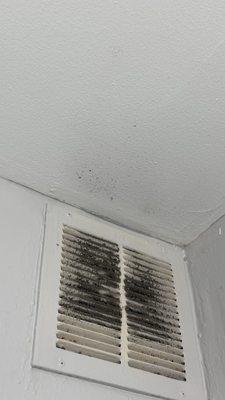 Mold from previous tenant. Not sure what they are cleaning when they are getting your property ready for move-in