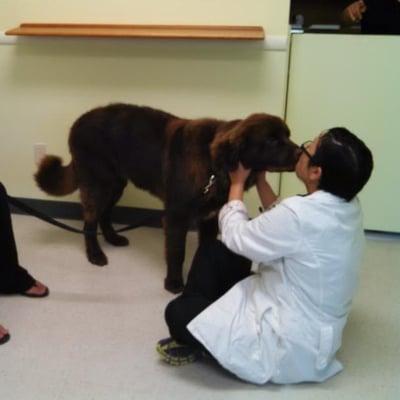 Dr. Watanabe gets a big kiss from a loveable patient.