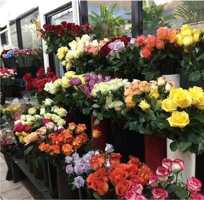 We have a HUGE selection of roses!