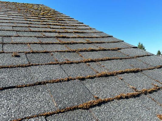 Want your roof looking nice for the summer? Call us now for a free estimate!!
360-609-7035