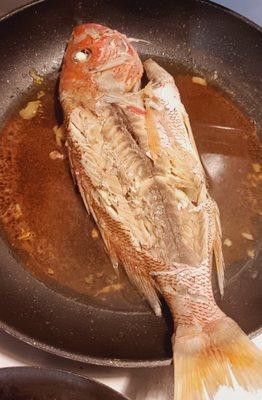 whole red snapper steamed, a whole fish is must for new year's eve for good luck!