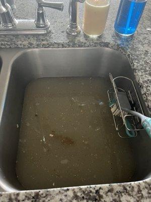 Backed up sink