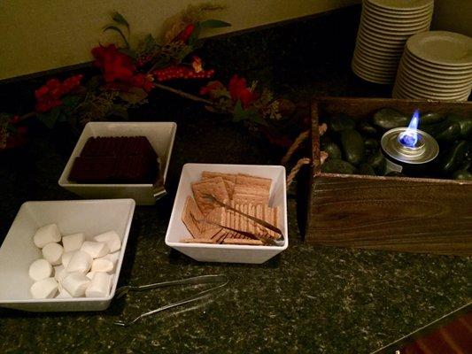 Thanksgiving Day 2017 spread @ Radisson - Smores Station