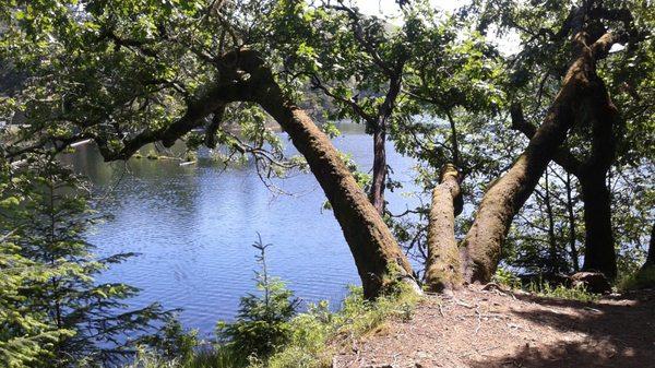 Marin Municipal Water District