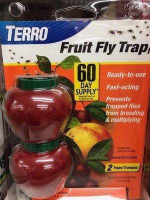 We have fruit fly traps!