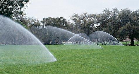 Sprinkler system