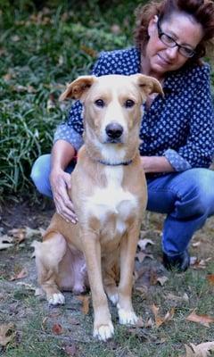 Colby is a 2yo male shepherd mix who was abandoned in rural Mississippi.  He stayed in a field out in the country for over 2 weeks.