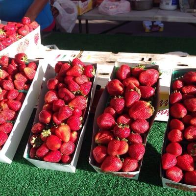 Strawberries in season at the farmers market!!!