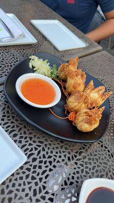 Crab Rangoon my favorite!