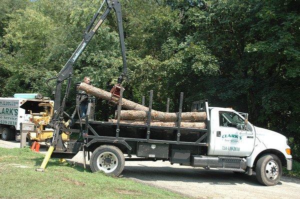 Clark's Tree Service