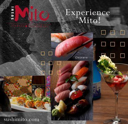 Experience Mito