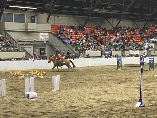 Versatile Horse and Rider Competition