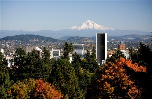 Pacwest Restoration is proud to serve the gorgeous Pacific Northwest and the Portland Metro area. 
 503-746-6545
 CCB 178343