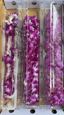 Graduation Leis Available all season! Rolling inventory, specific designs available 2-3 days notice.