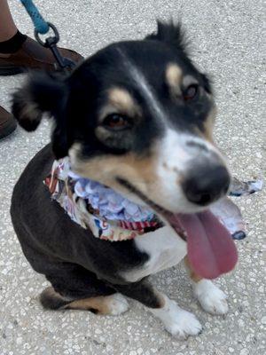 Stylish Bandanna ooo he smells so good!