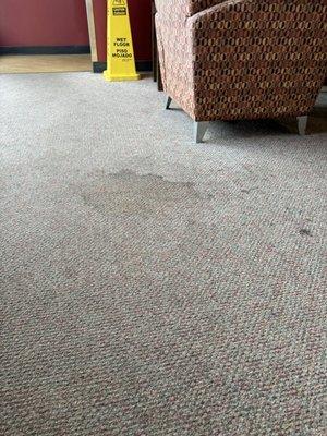 The carpet is destroyed filthy.