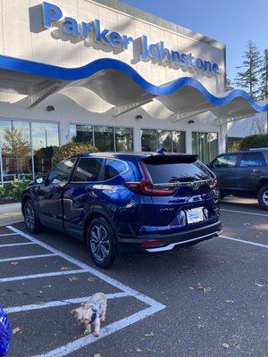 Honda Hybrid CR-V EX-L and Minnie the Yorkie