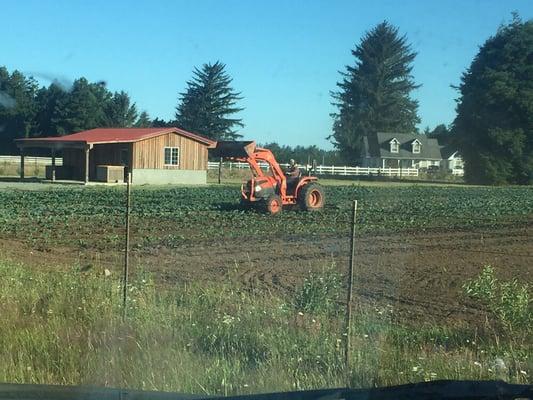 The Farm Stand as seen from the road side.