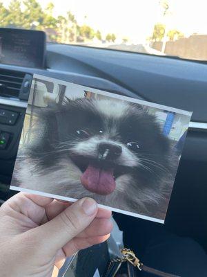 Some times it's the little things. They sent a picture of my dog on a reminder card for a check up. We just loved that!!!