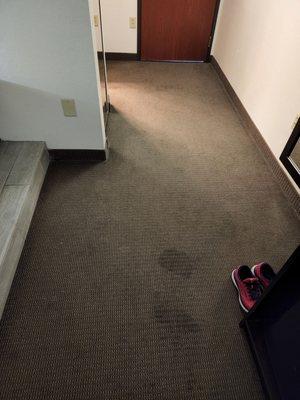 Carpet stains