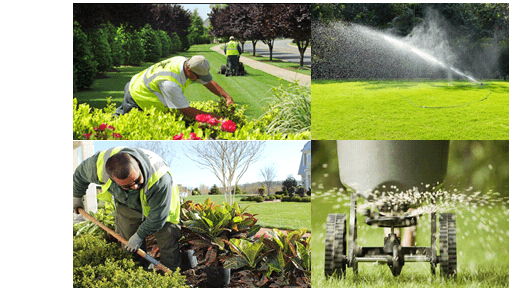 Full Service Maintenance and Sprinkler Installation