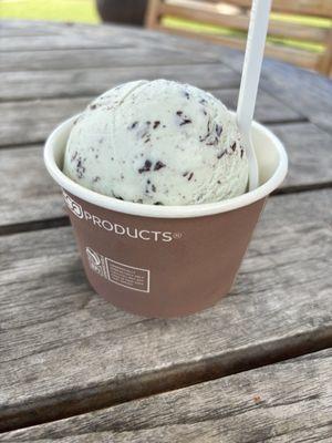 Single scoop of Mint Chip