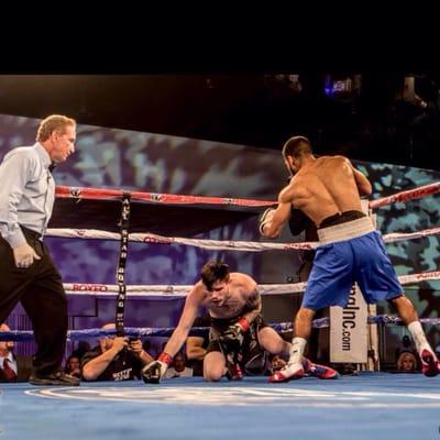 All Star Boxing . Winner by knock out Mark Reyes MARCH 4 2016