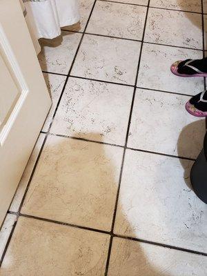 The floor of the bathroom