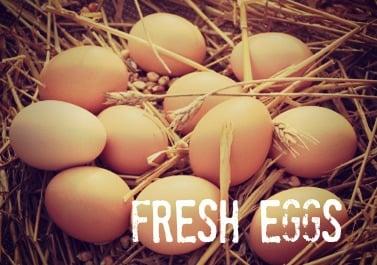 Farm Fresh Eggs