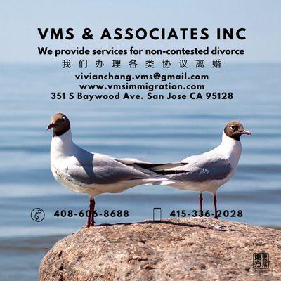 VMS & Associates