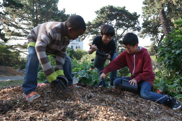 Fun in the Children's Garden