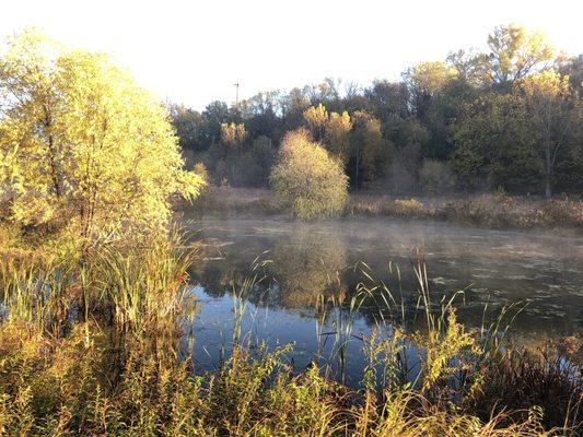 Peaceful wetlands at the Bruce Vento Nature Sanctuary.