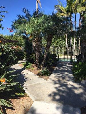 Nice spa area with tropical trees!