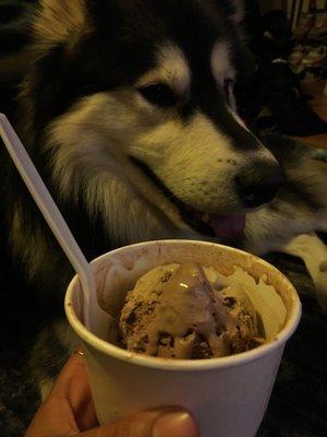 Chocolate and root beer organic ice cream!