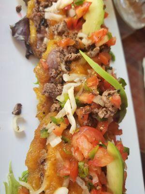 Steak Tostones! These are a great appetizer! Your mouth will be happy!