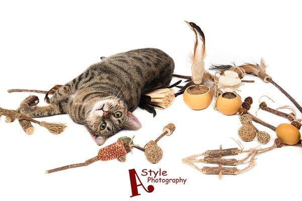 Pet Product Photography on white Background for Amazon