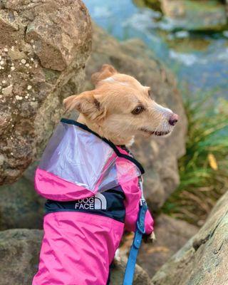 Exploring the creek