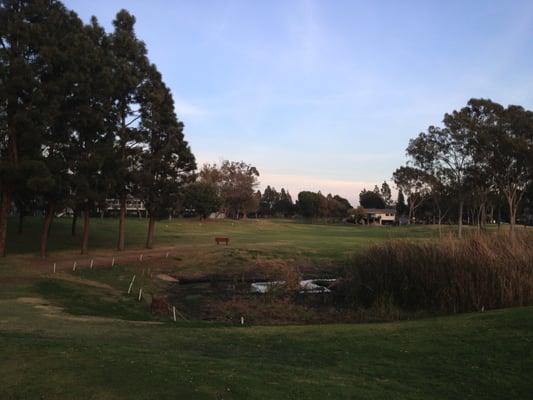 Looking down the fairway at hole 3