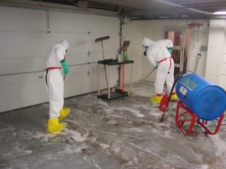 Basement Clean Up Service