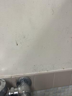 Literally mold growing